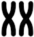 Interactive karyotyping illustration